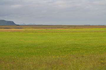 Landscape in Iceland