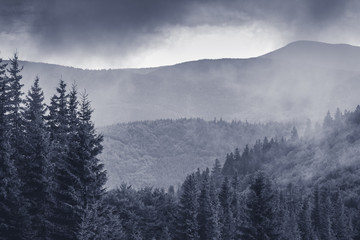 Mountain landscape with thick fog in mountains, black and white image_