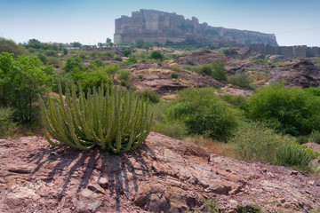 View of Rao Jodha desert rock park, Rajasthan, India