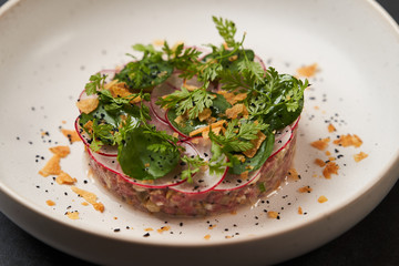 Beef tartare dish with fresh vegetables in white plate on dark background