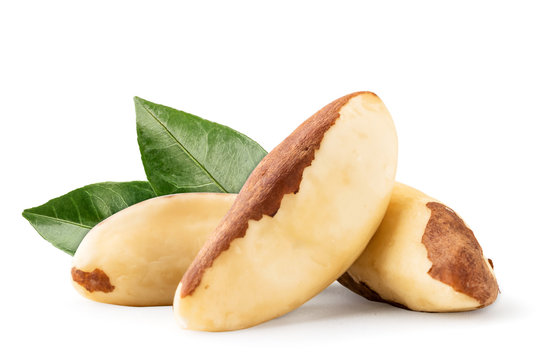 Three Brazil nuts with green leaves on a white background.