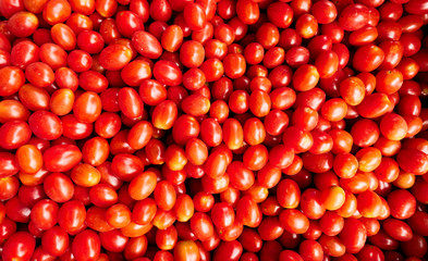 Lots red ripe tomatoes