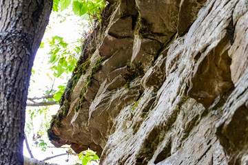 Zaitsev rocks in the Rostov region in Krasnosulinsky district, stone natural structures of large size, green and damp mosses among the vegetation, unusual species for walking.