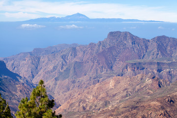 Gran Canaria, January
