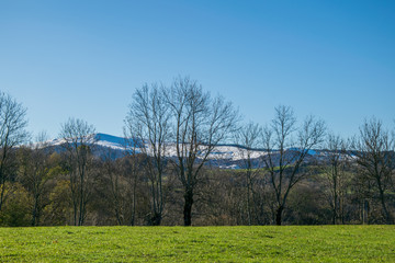 Fototapeta premium Paysages du Sancy en hiver
