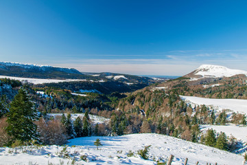 Paysages du Sancy en hiver