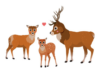 Cute cartoon deer family vector image. Male deer and female doe with little fawn. Forest animals for kids. Isolated on white background