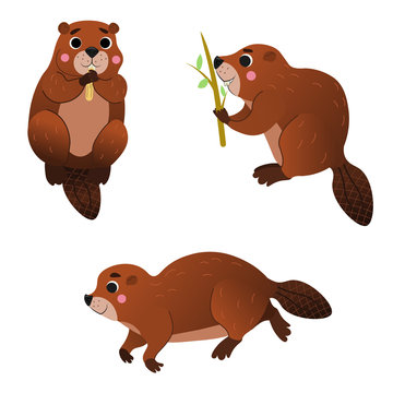 Cute cartoon wild beaver family vector image. Male and female beaver with their little beaver. Forest animals and rodents for kids. Isolated on white background.