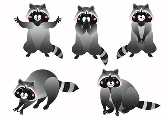 Cute cartoon raccoon vector set. Raccoon in different postures. Standing raccoon, hugs, washing and sitting raccoon. Forest animals for kids. Isolated on white background