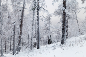 Winter in the mountains