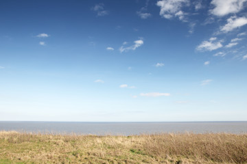 Fototapeta premium coastline along the essex countryside