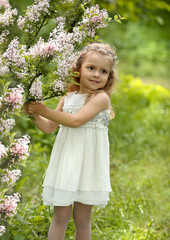 little girl in a white dress walks in the spring botanical garden where lilac blossoms