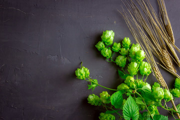 Fresh green hops on a wooden table.