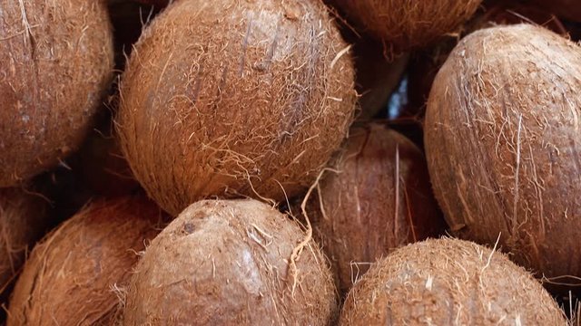 many coconuts on the market