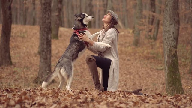 Autumn girl plays with a dog husky. Girl with husky dog in uatumn park outdoors. Concept friendship with dog.
