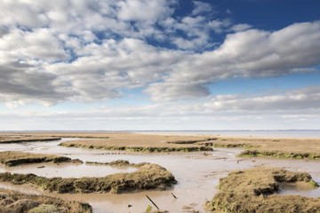 wetland and  coastal erosion