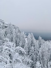 winter landscape with trees and snow