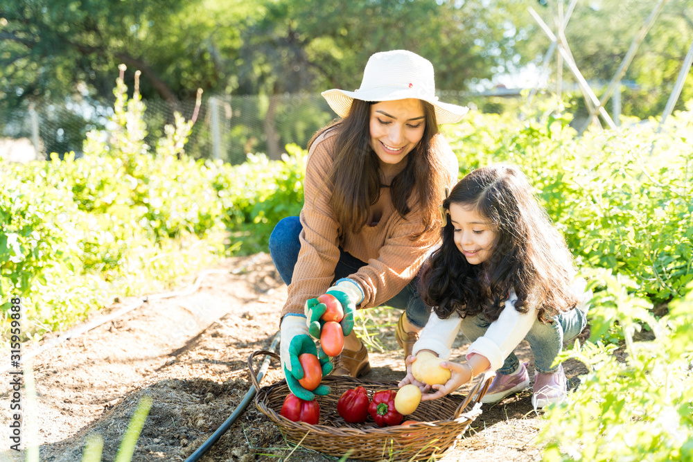 Wall mural women harvesting vegetables at farm