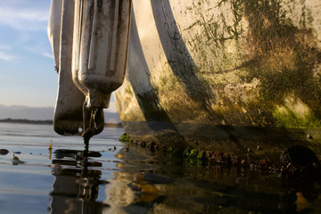 boat on the sea