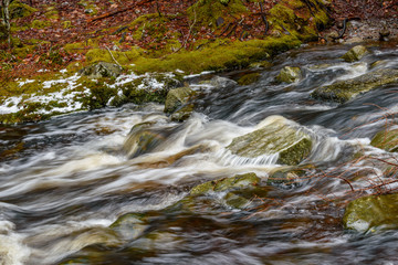 Brook Falls in winter deep forest with rocks moss and trees