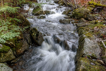 Fototapeta premium Brook Falls in winter deep forest with rocks moss and trees