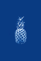 Pineapple in monochrome on a blue background. Concept abstraction, surrealism, color of the year 2020, food.