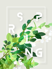 Spring floral eco design with white lily flowers, green leaves, succulent plants and integrated 3d typography. Vector template for poster, flyer, banner or card. Illustrated nature background.