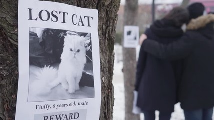 Close-up of lost cat ad hanging on the tree as two blurred Caucasian people hugging at the background. Family searching for their pet. Loss, sadness, despair.