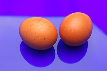 Chicken eggs, raw eggs freshly picked from the farm