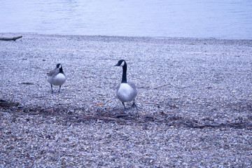 in winter tag im deutschen park