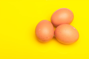 Chicken eggs, raw eggs freshly picked from the farm