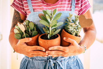 Home housewife caucasian adult woman holding three tropical plants - gardening job and work for...