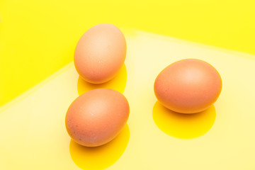Chicken eggs, raw eggs freshly picked from the farm