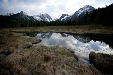 sawtooths
