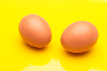 Chicken eggs, raw eggs freshly picked from the farm