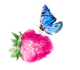 Watercolor strawberry with butterfly on white