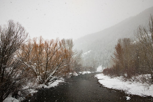 Snow falling over a river in Sun Valley