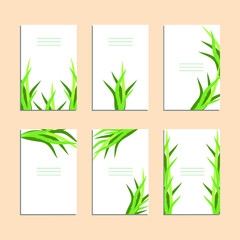 Collection of vector template label, visit cards, square greeting cards and banners with home plants, wild flowers and herbs.Business set of design templates Layout, mockup design for cosmetics.