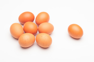 Chicken eggs, raw eggs freshly picked from the farm