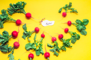 Fresh radish with leaves on a yellow paper background.