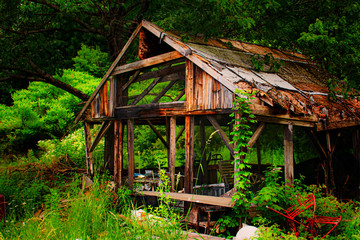 wooden building feeling the passage of time as it is overgrown and falling into disrepair in Upstate NY