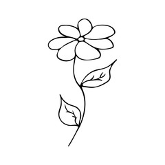 Chamomile black and white illustration in doodle style. Field beautiful flower, spring and summer vector