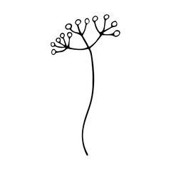 Sprig with berries in doodle style. Black and white illustration spring and summer theme vector