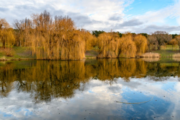 Recreation area 