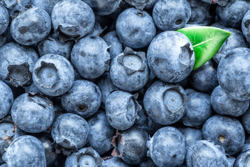 Fresh blueberries background with copy space for your text. Vegan and vegetarian concept. Macro texture of blueberry berries. Summer healthy food.