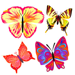 Fototapeta na wymiar Colorful Butterfly Pack, Set of beautiful butterfly with wings, Abstract Wings Color, Abstract animal color pack, isolation butterfly object illustration. Vector