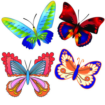 Colorful Butterfly Pack, Set of beautiful butterfly with wings, Abstract Wings Color, Abstract animal color pack, isolation butterfly object illustration. Vector