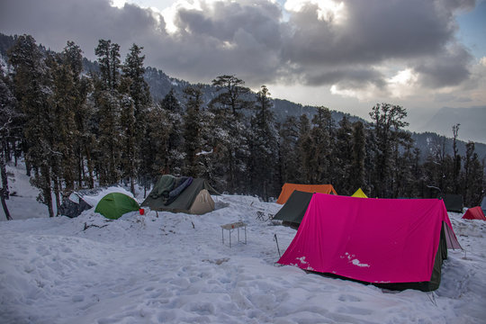 A Tent On A Himalayan Campsite Covered With Snow With Tall Pine Trees In Background