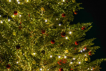 ピカピカ光るクリスマスツリー（クリスマスマーケット）
