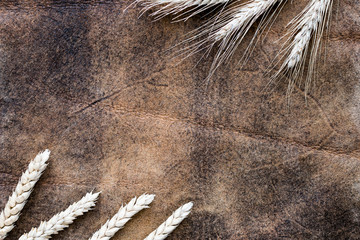 Image of cereal ears on a decorative background